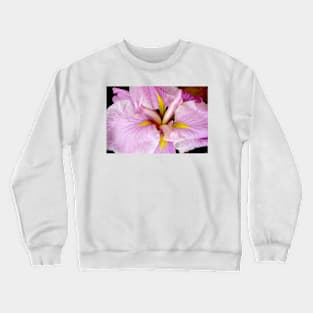 Glow Crewneck Sweatshirt